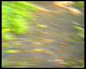 Kadr z filmu - przedstawiający poruszony obraz przypuszczalnie przedstawiający trawnik.