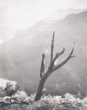  Stefan Arczyński, Grand Canyon Arizona