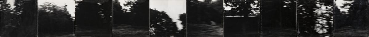 Cykl fotograficzny. Praca składa się z dziesięciu następujących po sobie kadrów, które przedstawiają niewyraźne, zamazane fragmenty krajobrazu: drzew, zarośli, nieba sfotografowanych poruszającym się aparatem.