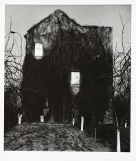 Fotografia czarno-biała w pionie z białymi marginesami. Na pierwszym planie ogród, za nim szczytowa ściana domu pokryta gęsto winoroślą. Na poziomie pierwszego i drugiego piętra 2 świecące, niesymetryczne okna. Trzecie okno przy poddaszu ciemne.