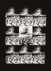 Kompozycja złożona z 9 fotografii czarno-białych, na całkowicie czarnym tle trzy pasy po trzy obszary każdy tego samego fragmentu pejzażu nad wodą z samotnym drzewem, obraz jest słabo czytelny .
