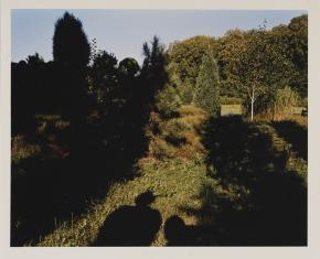 Fotografia barwna, oprawiona w kartonowe szare pass-partout, przedstawiająca zarośla otoczone drzewami, przez środek biegnie smuga światła, w jej dolnej części - cień człowieka.