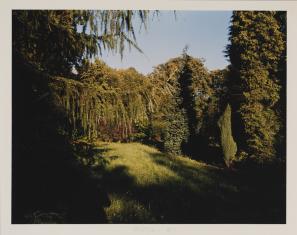 Fotografia barwna, oprawiona w kartonowe szare pass-partout, przedstawiająca oświetloną polanę pośród iglastych drzew i krzewów, na pierwszym planie, po lewej stronie gałąź modrzewiowa biegnąca ku centrum.
