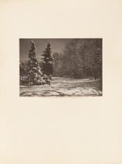 Fotografia krajobrazowa w kolorystyce sepii, kadr poziomy. Widok ogólny na pokryte śniegiem drzewa i ziemię. Po lewej stronie kadru dwa wysokie drzewa iglaste z obfitymi czapami śniegu na gałęziach.