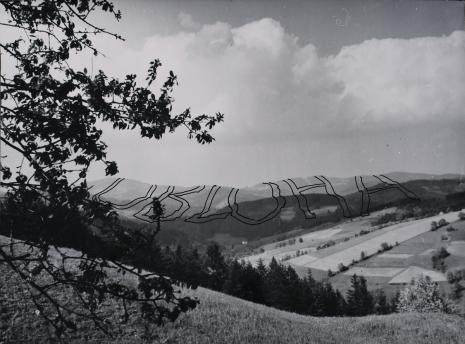  Dalibor Chatrný, Bez tytułu
