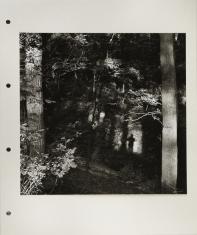 Fotografia czarno-biała o formacie zbliżonym do kwadratu. Ogólny widok na ściółkę i drzewa liściaste w parku lub lesie. Po prawej stronie centralnej części kadru widnieje cień postaci stojący przy cieniu drzewa.