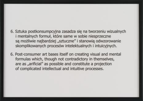  Natalia (Natalia LL) Lach-Lachowicz, Zdania kategoryczne z obszaru sztuki postkonsumpcyjnej