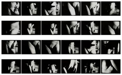  Zbigniew Libera, Hermafrodyta