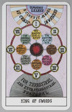  Suzanne Treister, HEXEN 2.0 TAROT: Król Mieczy