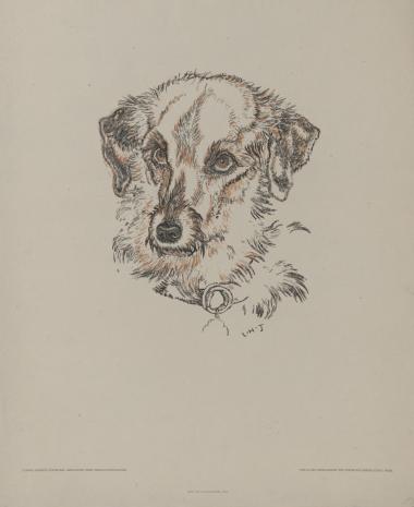  Ludwig Heinrich Jungnickel, Głowa psa