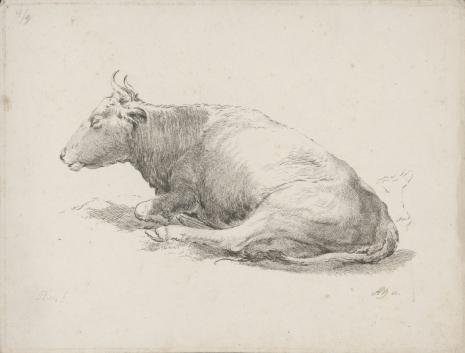 Adam von Bartsch, Krowa leżąca