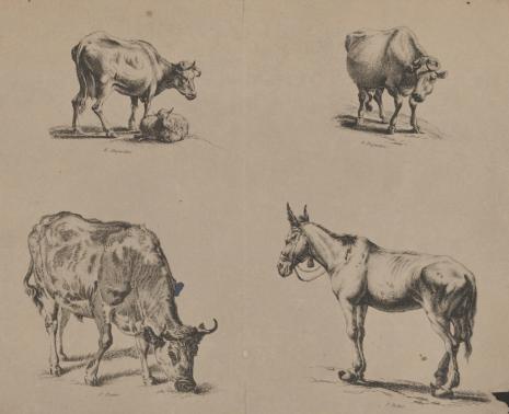  Adam von Bartsch, Studia trzech krów i jednego konia