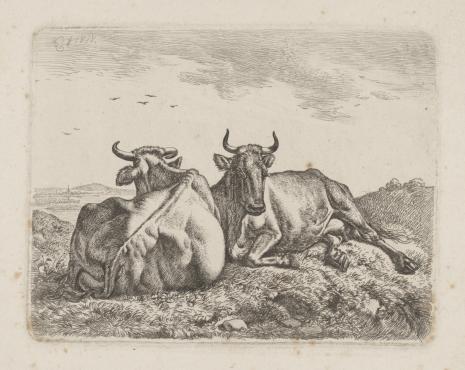  Johann Adam Klein, Dwie krowy leżące na pastwisku