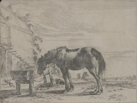 Dirk Stoop, Koń stojący przy żłobie
