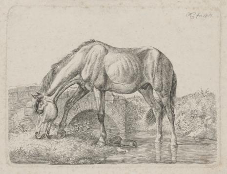  Johann Adam Klein, Koń pasący się nad strumieniem
