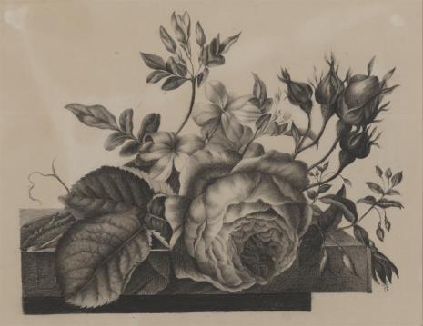  Theodor Mattenheimer, Kwiaty
