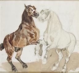 Na białym papierze dwa wspięte do góry konie, zwrócone do siebie łbami, ustawione bokiem do widza. Lewy koń malowany różnymi plamami brązu, prawy narysowany ołówkiem, z beżową szyją i szarobrązowymi plamami farby na nogach. Nad nim, w prawym górnym narożn