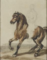 Na lekko szarym papierze idący w lewo koń, malowany różnymi odcieniami brązu, ze szkicowo narysowanym jeźdźcem na grzbiecie. Noga jeźdźca dzieli konia białą plamą na dwie części. Wzdłuż dolnej krawędzi szarobrązowy pas ziemi.