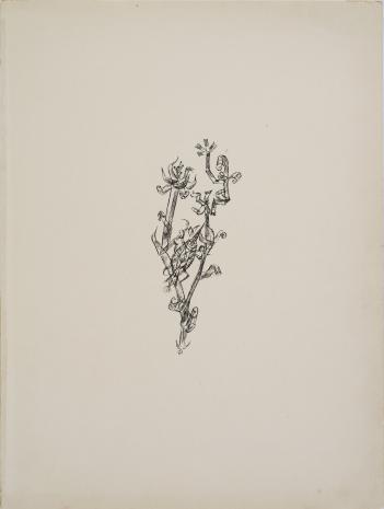  Paul Klee, Olbrzymia mszyca [Riesenblattlaus]