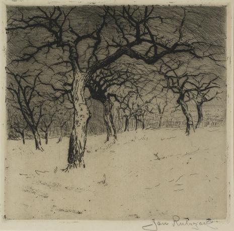  Jan Rubczak, Drzewa w zimie