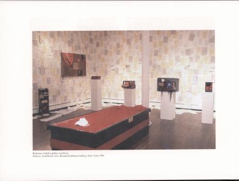 Douglas Davis : redness : czerwień : Muzeum Sztuki, Łódź, luty 1995