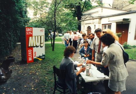 Francuski piknik na dziedzińcu ms