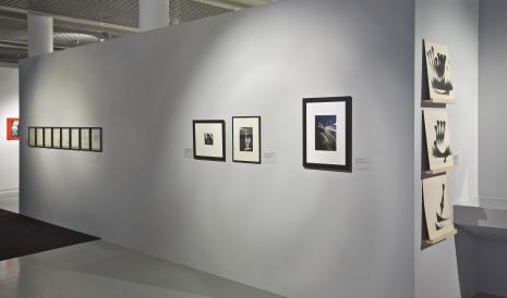Dokumentacja wystawy
