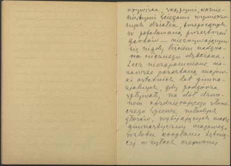 Władysław Strzemiński. Powieść, przed 1947. Rękopis. Zeszyt nr VI