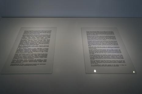 Dokumentacja wystawy, teksty opisujące wystawę
