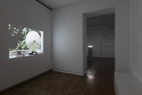 Sophie Thun. Secret Performance