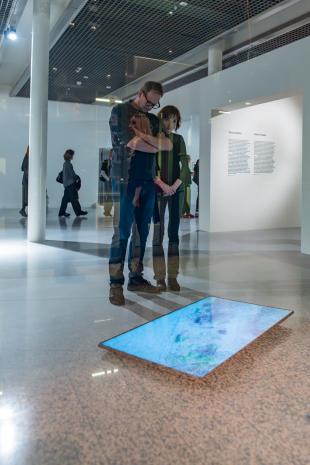 Sposoby widzenia. Kolekcja Muzeum Sztuki w Łodzi
