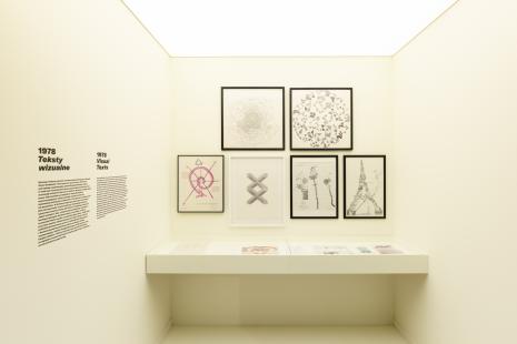 Sposoby widzenia. Kolekcja Muzeum Sztuki w Łodzi