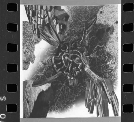 Aleksander Krzywobłocki, Fotomontaże - negatywy, 1928 - 1978