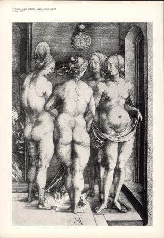 Albrecht Dürer 1471-1528: miedzioryty i drzeworyty: ze zbiorów Biblioteki Polskiej Akademii Nauk w Krakowie 